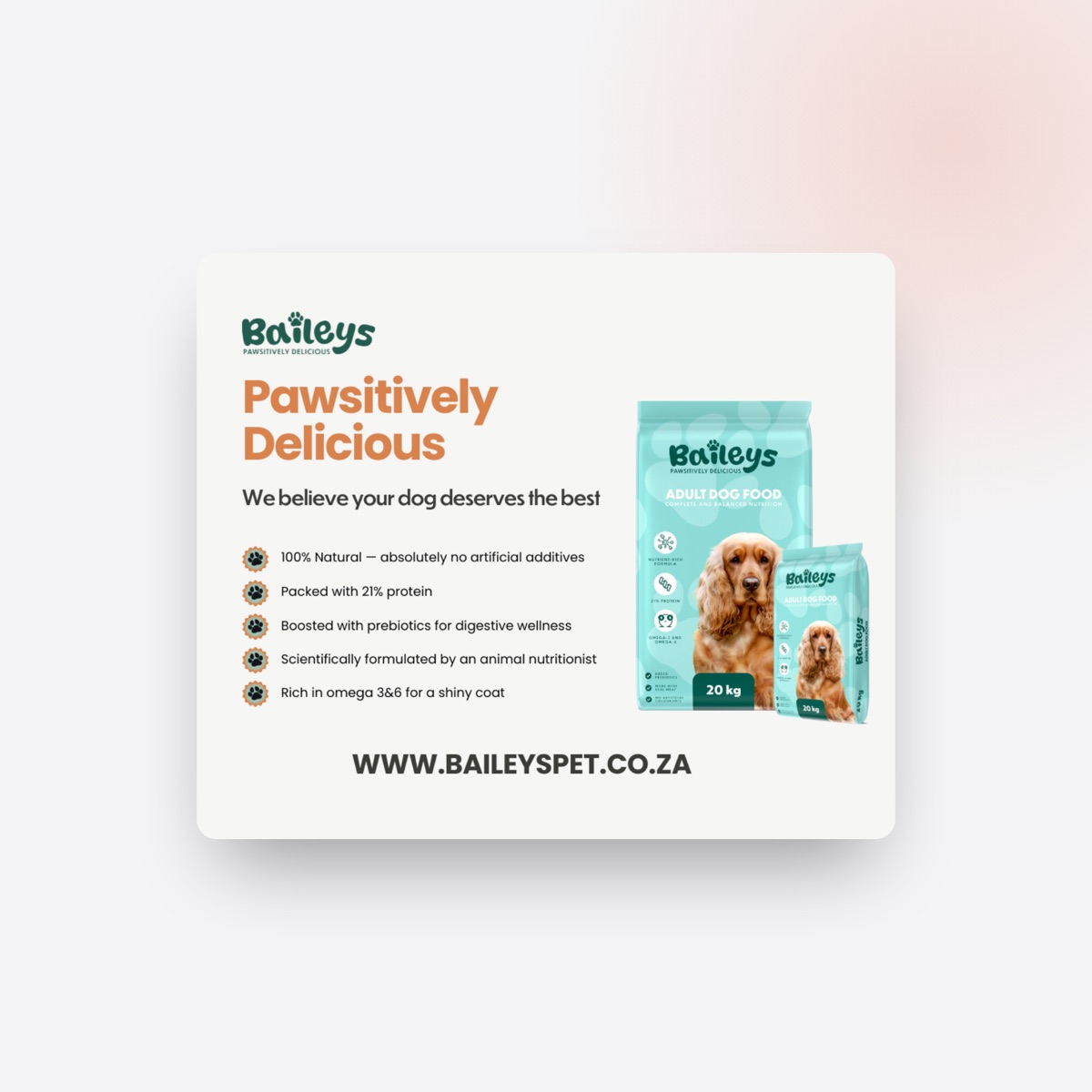 Baileys Pet: Campaigns